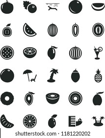 solid black flat icon set blueberries vector, a pineapple, orange slice, melon, water, mango, half of, loquat, tangerine, sweet date fruit, kiwi, passion, tamarillo, sour lime, guawa, piece coconut