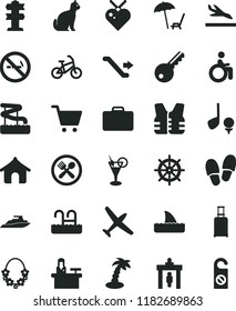 solid black flat icon set plane vector, bike, escalator, security gate, suitcase, rolling, arrival, boungalow, arnchair under umbrella, palm tree, hawaii wreath, cocktail, pool, aquapark, cafe, pets