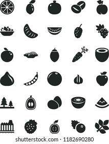 solid black flat icon set eggs vector, slices of onion, a plate fruit, coffee beans, blueberries, strawberries, peach, pomegranate, grape, red apple, fig, tasty mulberry, water melon slice, kiwi