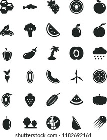 solid black flat icon set rainy cloud vector, garlic, small fish, strawberry, orange slice, honeycombs, ripe peach, half apricot, grape, of melon, mango, passion fruit, sweet date, kiwi, guava