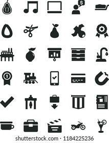 solid black flat icon set bank card vector, check mark, movie cracker, storage unit, children's potty, baby toy train, portfolio, kitchen faucet, stick of sausage, cake slice, pear, quince, note