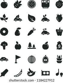 solid black flat icon set pennant vector, peper, carrot, a glass of tea, strawberries, apple, mint, pear, apricot, strawberry, water melon, half loquat, tasty plum, passion fruit, slice pineapple