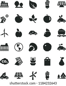 solid black flat icon set saving light bulb vector, porcini, cabbage, apple, pear, mint, tangerine, yellow lemon, delicious, solar panel, big, leaves, leaf, windmill, wind energy, planet Earth, bag