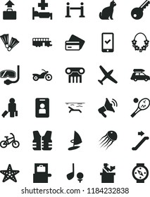 Solid Black Flat Icon Set Plane Vector, Car Baggage, Bus, Bike, Motorcycle, Escalator, Rope Barrier, Passenger, Scanner, Passort Control, Phone Registration, Credit Card, Beach, Hawaii Wreath, Pets