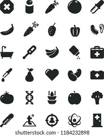 solid black flat icon set mark of injury vector, first aid kit, powder, baby, electronic thermometer e, mercury, bag a paramedic, bath, temperature, heart, tomato, carrot, pear, mint, apple, banana