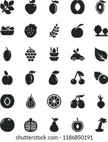 solid black flat icon set lettuce in a plate vector, beet, blueberries, strawberries, apple, pear, mint, cherry, ripe peach, half pomegranate, large grape, red, plum, mulberry, tasty cornels, lemon