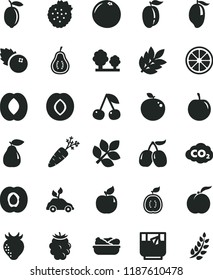 solid black flat icon set lettuce in a plate vector, glass of tea, blueberries, strawberries, cherry, ripe peach, half apricot, pear, plum, strawberry, blackberry, tasty cornels, mango, lemon, juicy