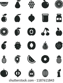 solid black flat icon set jam vector, jar of, strawberries, a pineapple, apple, orange slice, cherry, half apricot, large grape, medlar, blackberry, blueberry, melon, mango, loquat, peach, water