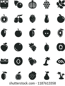 solid black flat icon set lettuce in a plate vector, glass of tea, blueberries, strawberries, pear, orange, half apricot, pomegranate, grape, branch, large, red apple, tasty, plum, rose hip, cornels