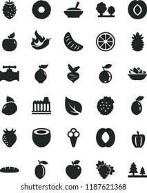 solid black flat icon set loaf vector, a bowl of buckwheat porridge, plate fruit, cone, strawberries, branch grape, quince, apricot, red apple, plum, strawberry, tasty raspberry, blueberry, lemon