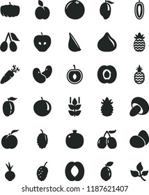 solid black flat icon set eggs vector, porcini, beet, garlic, carrot, a pineapple, apple, mint, ripe peach, half apricot, pomegranate, tasty, cornels, fig, mulberry, mango, tangerine, plum, cherry
