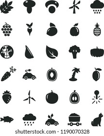 solid black flat icon set cloud vector, rainy, mushroom, garlic, fish, a pineapple, large grape, raspberry, delicious plum, half loquat, lemon, yellow, guava, persimmon, carrot, mashroom, broccoli