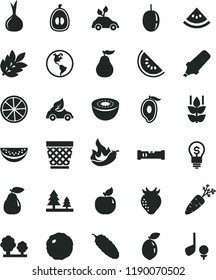 solid black flat icon set wicker pot vector, construction level, cabbage, cucumber, mint, pear, apricot, strawberry, slice of water melon, half mango, loquat, passion fruit, kiwi, sour lime, lemon