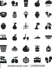 solid black flat icon set wicker pot vector, rainy cloud, suitcase, cone, pear, mint, half pomegranate, apricot, raspberry, cornels, fig, blackberry, tasty, water melon slice, loquat, kiwi, guava