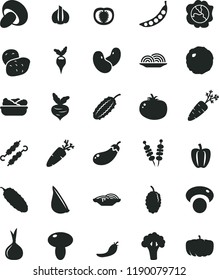 solid black flat icon set fried vegetables on sticks vector, onion, slices of, mushroom, porcini, lettuce in a plate, meat skewers, cabbage, cucumber, tomato, garlic, carrot, squash, mulberry, half