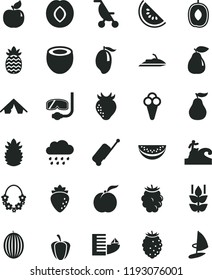 solid black flat icon set summer stroller vector, rainy cloud, cone, mint, ripe peach, pear, apricot, plum, raspberry, strawberry, blackberry, tasty, melon, slice of water, mango, delicious, guava