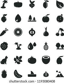 solid black flat icon set drop vector, tomato, carrot, strawberries, a pineapple, cherry, ripe peach, quince, half of medlar, loquat, slice tangerine, lemon, kiwi, coconut, garlic, onion, beet, leaf