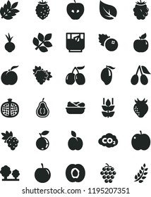 solid black flat icon set lettuce in a plate vector, beet, glass of tea, blueberries, apple, mint, ripe peach, half apricot, pomegranate, grape, branch, large, tasty, strawberry, cornels, blackberry