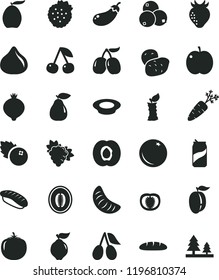 solid black flat icon set loaf vector, a plate of milk, japanese sushi, soda can, blueberries, strawberries, orange, cherry, apple, half apricot, branch grape, quince, pear, strawberry, cornels, fig