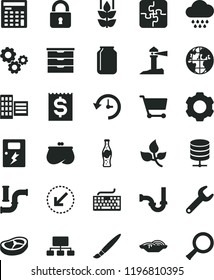 solid black flat icon set tassel vector, keyboard, storage unit, cloud, Puzzles, sewerage, city block, dangers, lock, left bottom arrow, big data server, slices of onion, bacon, bottle soda, mint