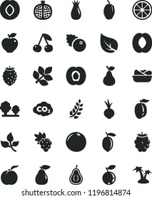 solid black flat icon set lettuce in a plate vector, beet, blueberries, pear, cherry, ripe peach, half apricot, pomegranate, grape, red apple, plum, rose hip, blackberry, tasty raspberry, blueberry