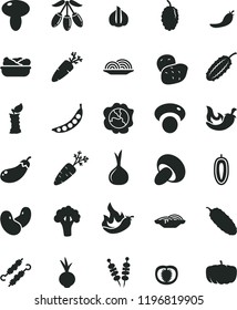 solid black flat icon set fried vegetables on sticks vector, onion, slices of, mushroom, porcini, lettuce in a plate, meat skewers, cucumber, chili, beet, carrot, squash, mulberry, goji berry, hot