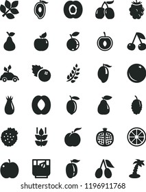 solid black flat icon set a glass of tea vector, blueberries, strawberries, pear, orange, mint, cherry, ripe peach, apple, half apricot, pomegranate, rose hip, cornels, blackberry, blueberry, tasty