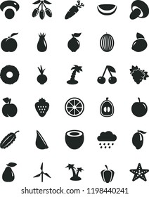 solid black flat icon set rainy cloud vector, porcini, beet, garlic, carrot, strawberry, cherry, peach, ripe, branch of grape, quince, pear, rose hip, melon, mango, goji berry, half loquat, juicy