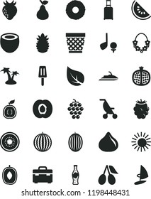 solid black flat icon set wicker pot vector, summer stroller, suitcase, bottle of soda, popsicle, pear, half apricot, pomegranate, large grape, strawberry, cornels, fig, blackberry, melon, water