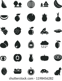 solid black flat icon set rainy cloud vector, drop, eggs, slices of onion, lettuce in a plate, garlic, strawberries, orange, half apricot, grape, quince, rose hip, tasty raspberry, blueberry, loquat