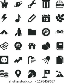 solid black flat icon set house vector, lightning, clean paper, folder, growth up, shower, star gear, calendar, put in cart, artificial satellite, lens, eggs, burger, porcini, popcorn, power socket