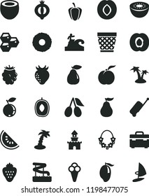 solid black flat icon set wicker pot vector, suitcase, cone, strawberry, honeycombs, ripe peach, half apricot, pear, plum, cornels, of medlar, blackberry, blueberry, slice water melon, mango, kiwi
