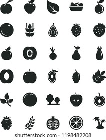 solid black flat icon set lettuce in a plate vector, beet, strawberries, pear, orange, mint, ripe peach, apple, half apricot, pomegranate, red, tasty, rose hip, blackberry, raspberry, blueberry