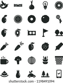 solid black flat icon set wicker pot vector, pennant, building level, cabbage, carrot, cup of tea, strawberries, mint, rose hip, water melon, mango, half, ripe plum, kiwi, passion fruit, sour lime