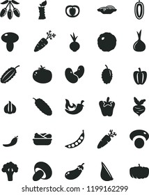 solid black flat icon set slices of onion vector, mushroom, porcini, lettuce in a plate, cabbage, cucumber, tomato, chili, peper, beet, garlic, carrot, mulberry, goji berry, sweet date fruit, half