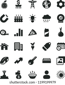solid black flat icon set house vector, growth up, rainy cloud, cogwheel, long meashuring tape, key, buildings, brick, radiator, picture, lens, label, piece of pizza, porridge in a saucepan, sushi