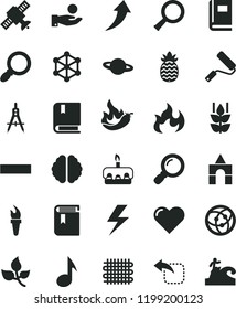 solid black flat icon set lightning vector, minus, book, box of bricks, e, new roller, heart, planet, move left, torte, mint, pineapple, hot pepper, leaves, weaving, Measuring compasses, network