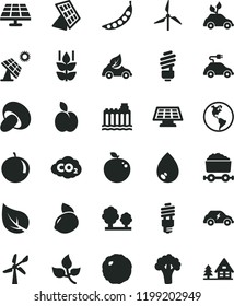 solid black flat icon set saving light bulb vector, drop, porcini, cabbage, apple, mint, tangerine, yellow lemon, delicious, peas, broccoli, solar panel, big, leaves, leaf, windmill, wind energy