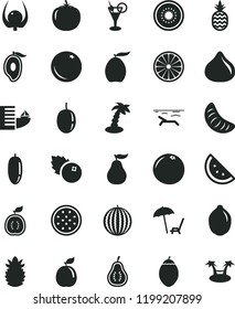 solid black flat icon set blueberries vector, a pineapple, orange slice, fig, water melon, half of mango, loquat, date fruit, tangerine, passion, lime, kiwi, tamarillo, guava, guawa, ripe, part