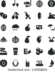 solid black flat icon set summer stroller vector, rainy cloud, a glass of soda, blueberries, honeycombs, half apricot, pomegranate, pear, plum, cornels, fig, melon, water, mango, date fruit, guava
