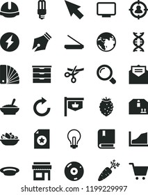 solid black flat icon set incandescent lamp vector, clockwise, storage unit, e, color samples, construction helmet, received letter, magnifier, cardboard box, a bowl of buckwheat porridge, carrot