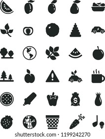 solid black flat icon set warning vector, wicker pot, stacking toy, lettuce in a plate, cabbage, peper, cup of tea, strawberries, apple, pear, rose hip, slice water melon, ripe plum, tasty, tomato