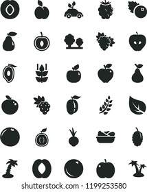 solid black flat icon set lettuce in a plate vector, beet, blueberries, apple, pear, orange, mint, grape, branch of, apricot, red, tasty, plum, blackberry, mulberry, half mango, peach, ripe, cherry