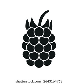 Solid black raspberry with grouped circles. Perfect for food apps or natural themes.