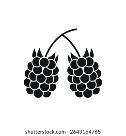 Solid black raspberry with grouped circles. Perfect for food apps or natural themes.