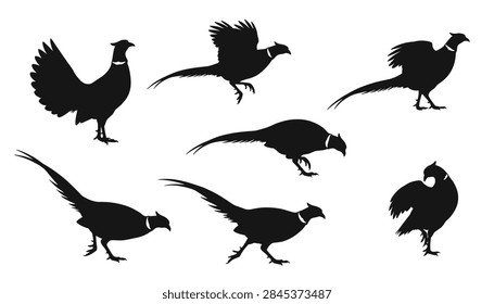 Solid black silhouettes collection of seven pheasants in various natural poses like standing, running, and flying.
