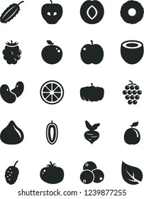 Solid Black Vector Icon Set - tomato vector, apple, large grape, tasty, plum, fig, blackberry, blueberries, mulberry, sweet date fruit, juicy lemon, delicious, guava, half of coconut, beet, beans