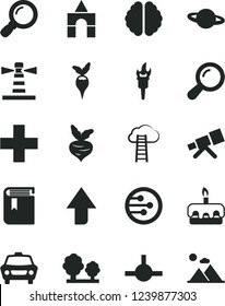 Solid Black Vector Icon Set - upward direction vector, plus, book, box of bricks, car, planet, torte, beet, radish, trees, lighthouse, network, connect, magnifier, telescope, zoom, brain, mountains