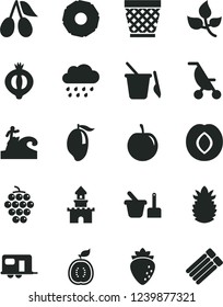 Solid Black Vector Icon Set - wicker pot vector, summer stroller, rainy cloud, toy sand set, children's, large grape, plum, raspberry, cornels, half of medlar, mango, tasty, guawa, ripe pineapple