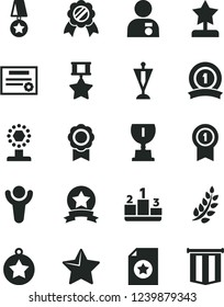 Solid Black Vector Icon Set - star vector, pedestal, medal, patente, winner, laurel branch, award, cup, reward, man with, pennant, ribbon, hero, certificate, flag